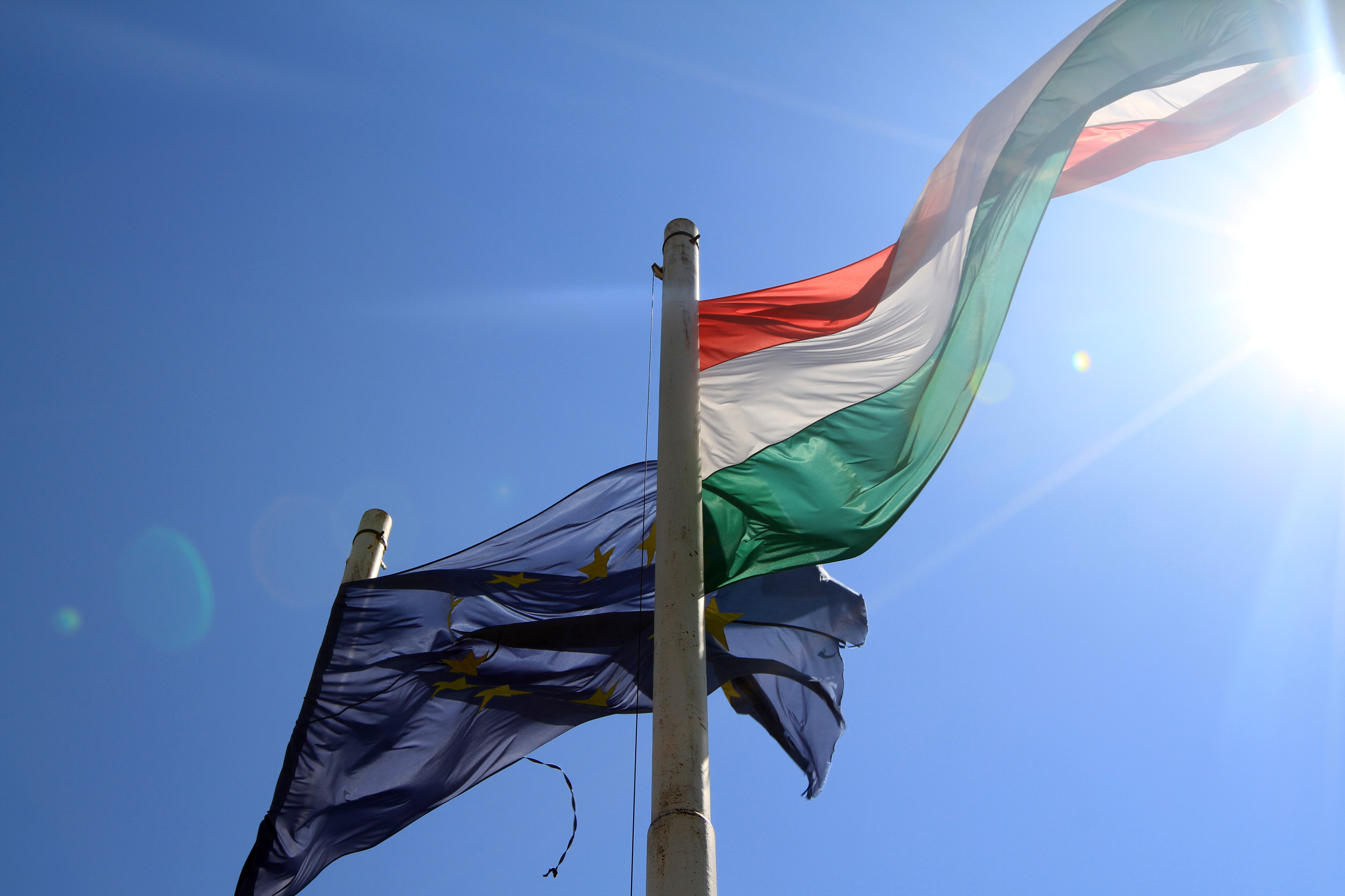 Ungarnflagge