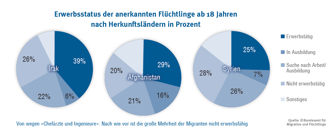 Erwerbsstatus der anerkannten Flüchtlinge