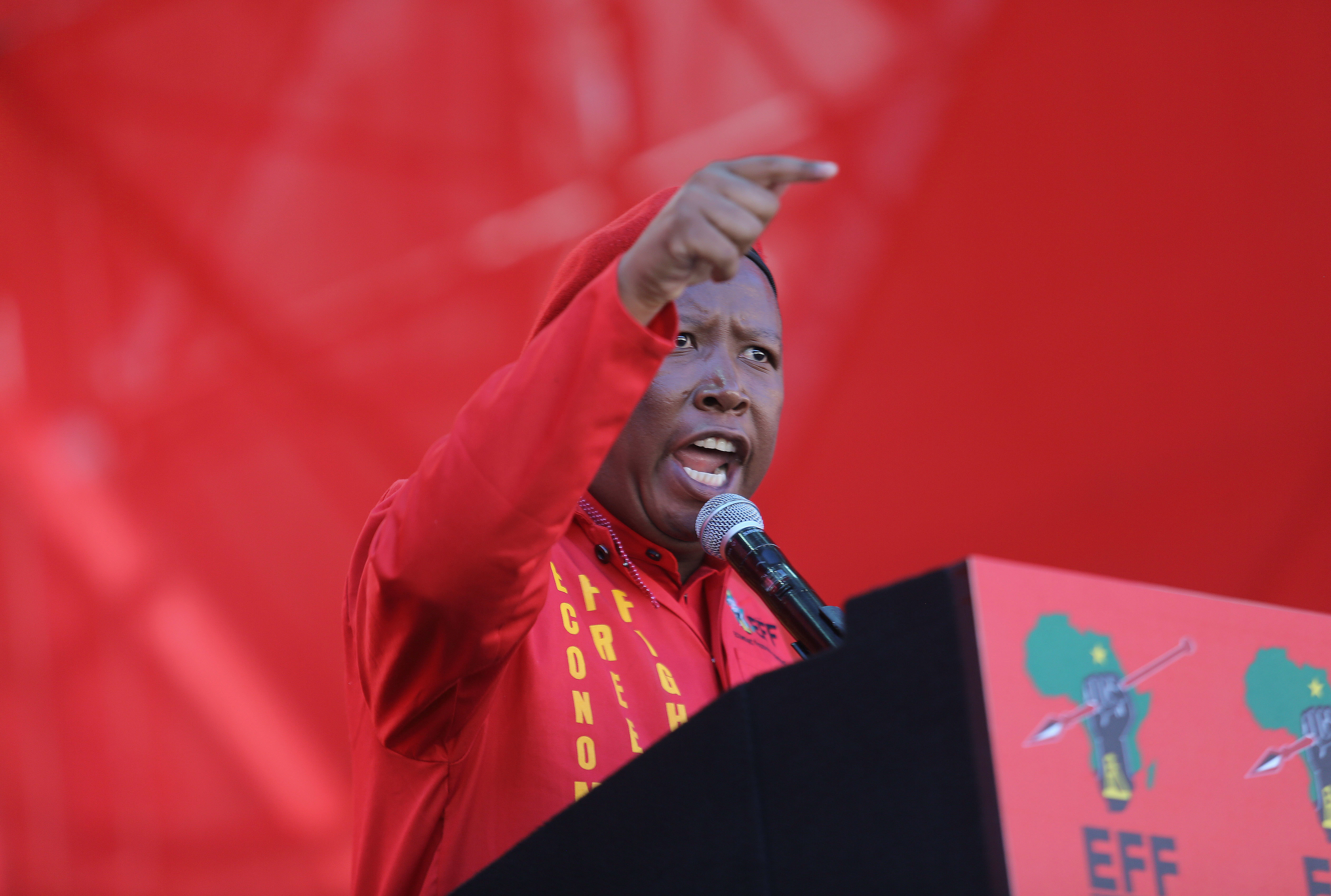Julius Malema