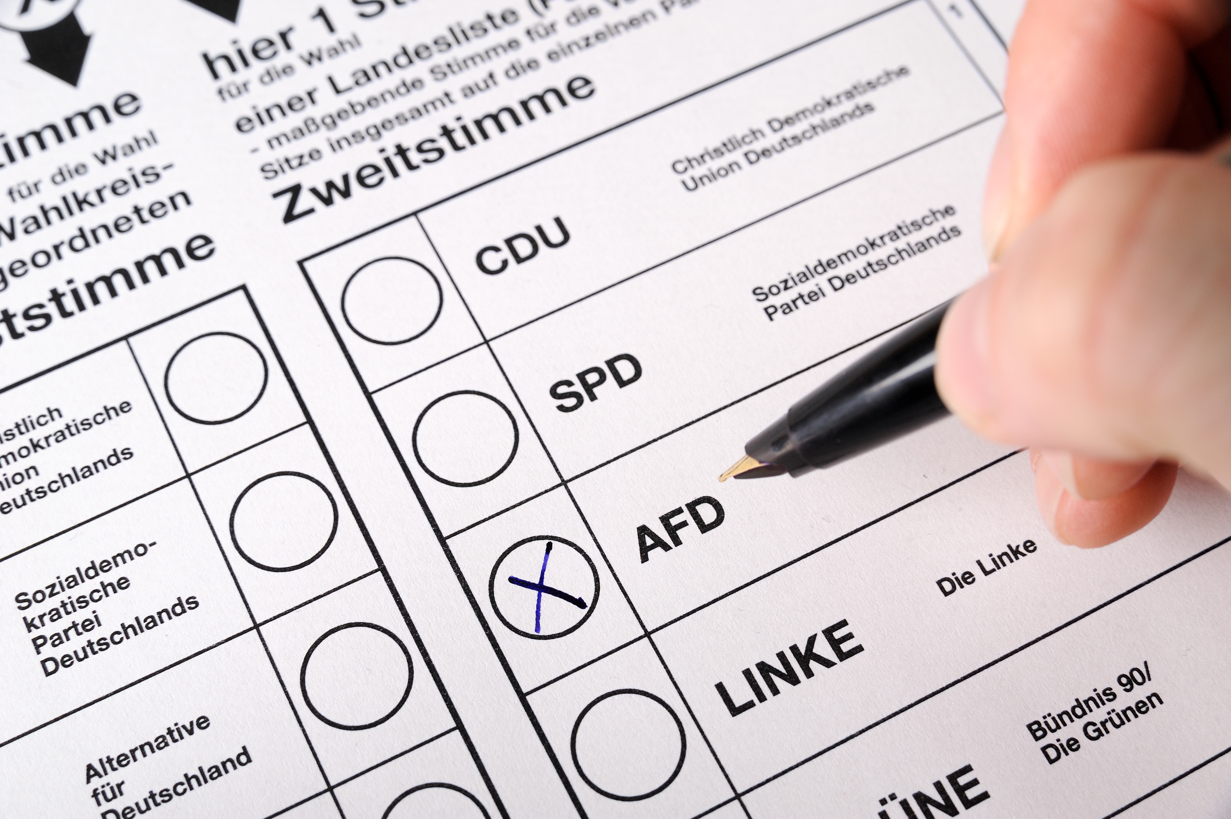 Erfolgsgeschichte der Alternative für Deutschland