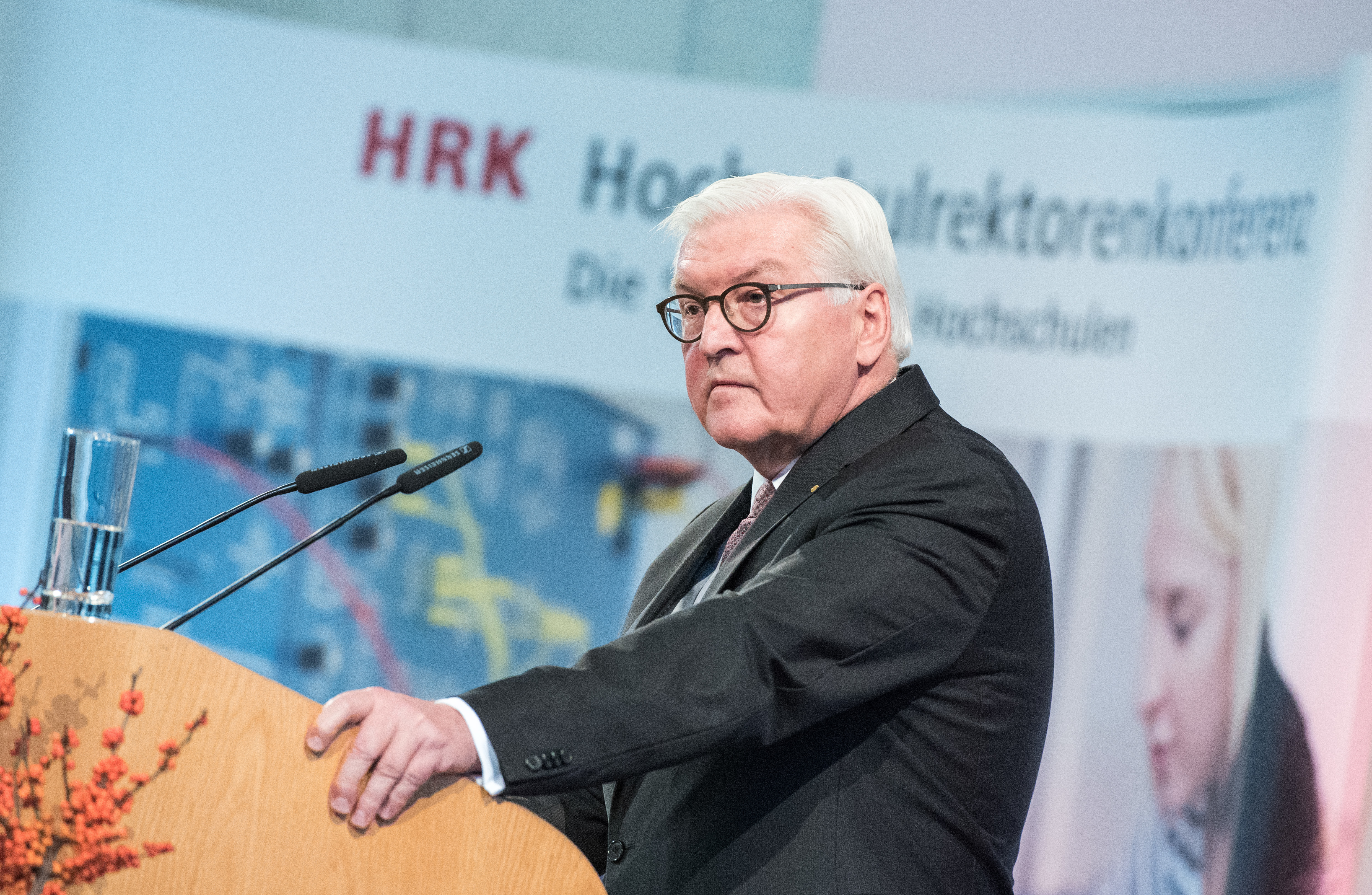 Bundespräsident Frank-Walter Steinmeier